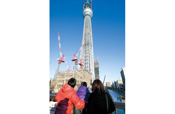 まだまだ伸びて、春には634mへ！