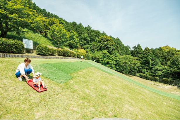 【写真を見る】無料で利用できる草スキー場。ソリのレンタル(300円)は小学生が対象 / 油山市民の森