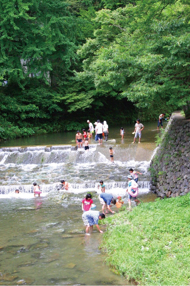ちびっこでも安心して水遊び 福岡 佐賀のひんやり川遊びスポット5選 ウォーカープラス