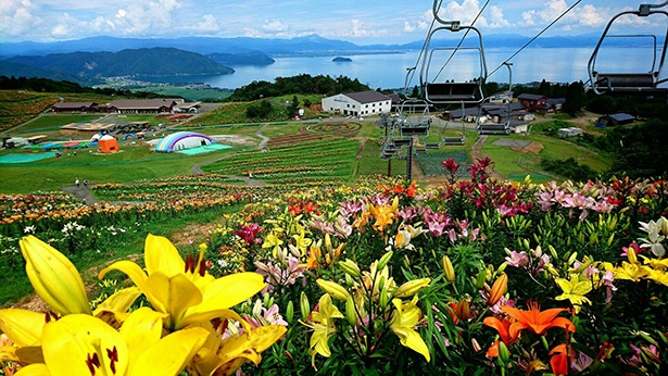 虹のカーテンも登場 琵琶湖とユリの絶景スポット 滋賀 びわこ箱館山ゆり園 ウォーカープラス