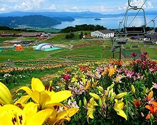 虹のカーテンも登場！ 琵琶湖とユリの絶景スポット・滋賀「びわこ箱館山ゆり園」
