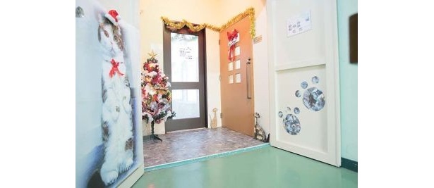 ここが関東唯一の「うさぎCafe」♪