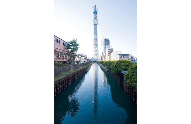 1位はスカイツリー！“2011年東京ブーム予測ランキング”発表