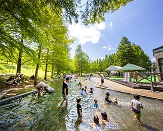 大人も子供も夏を満喫できるイベントがいっぱい！広島県庄原市で「備北夏まつり」開催中