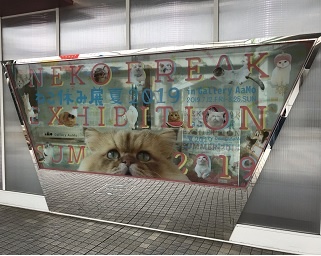 「ねこ休み展」が東京ドームシティにて超最大規模で開催！巨大ぬいぐるみや絵画も大集合！