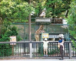 ベビーと初めてのおでかけにもおすすめ！福岡の動物園＆遊園地2選