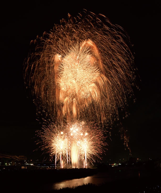 阪神高速池田線を一時通行止めにして花火が打ち上げられる。華やかな花火の連続に目がくぎづけに！/猪名川花火大会