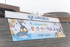 アクアワールド茨城県大洗水族館にて「ペンギンたちの不思議な世界　ピングーサマーフェス」を開催中