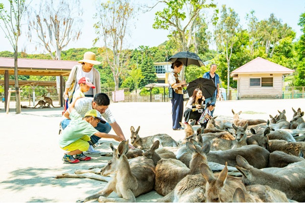 画像3 7 ちびっこ大満足 福岡県 北九州エリアのおすすめ公園5選 ウォーカープラス