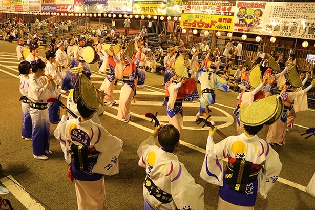 本格阿波おどりを堪能 徳島県鳴門市で 鳴門市阿波おどり19 開催 ウォーカープラス