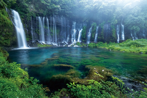 富士山の構成資産として世界遺産にも登録されている「白糸ノ滝」(静岡県富士宮市)