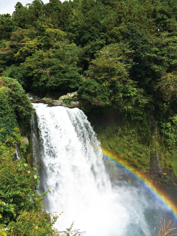 落差25mの「音止の滝」も、注目の絶景ポイントだ！ / 「白糸ノ滝」(静岡県富士宮市)