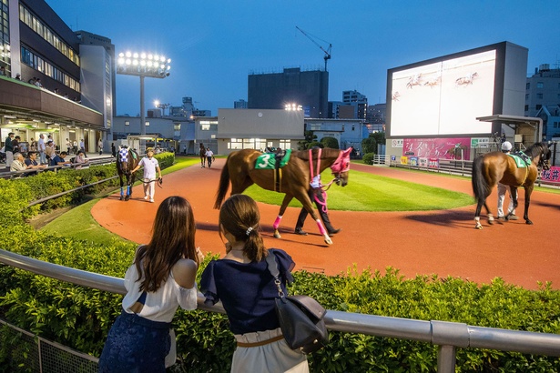 スポーツバーみたい！川崎競馬場のケンタッキーラウンジでナイター観戦