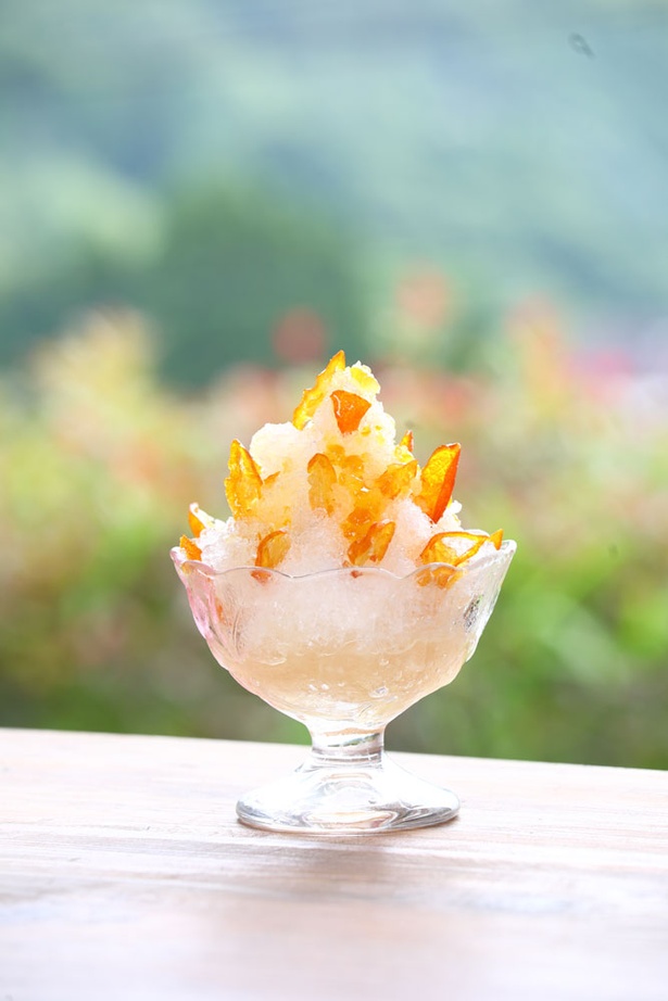 農家カフェ 風の道 / 「きんかんかき氷」(400円)はきんかんの爽やかな香りと程よい甘味がたまらない一品
