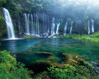 暑い夏に行きたい！清涼感たっぷりな静岡県の絶景スポット3選!!