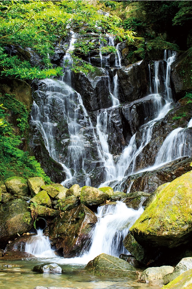 【写真を見る】白糸の滝 / お目当ての滝は、スポットの一番奥にある。水しぶきがかかるほど、間近で観賞が可能
