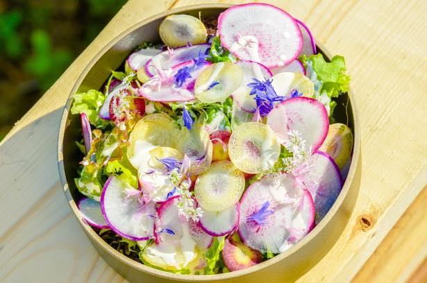 彩り豊かな料理を味わうことができる