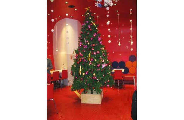 クリスマスの期間、店内には大きなツリーが