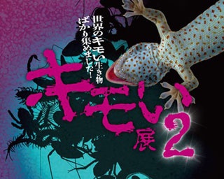 今週末の予定はコレで決まり！週末イベント5選・大阪府編[2019年8月2日(金)～4日(日)]