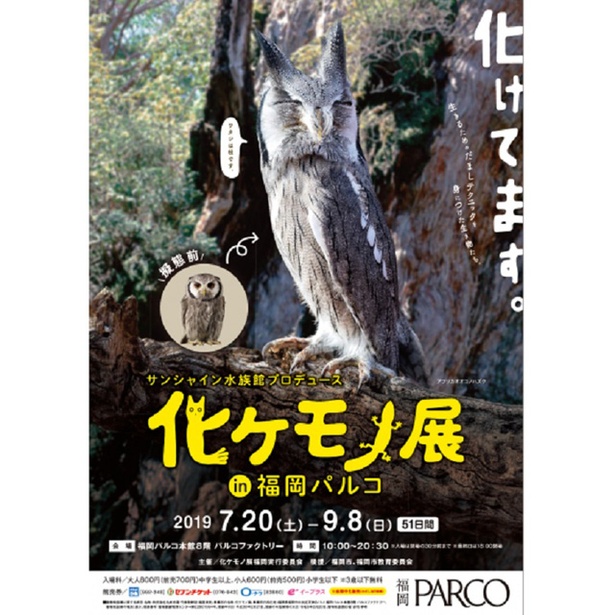 化ケモノ展 in 福岡PARCO  / 「擬態」に焦点を当てさまざまな生き物を紹介