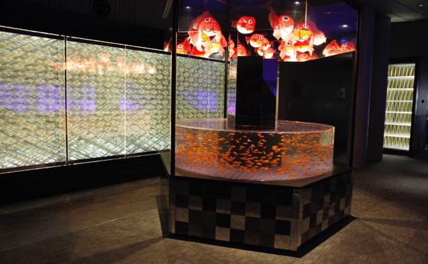 「江戸リウム」の金魚展示水槽が金魚アートで彩られる
