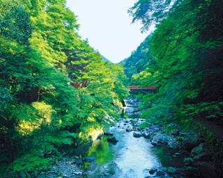 京都・嵐山の観光地から車で約10分の避暑地！ホタルの棲む清流「清滝川」でできる涼ハイクコース