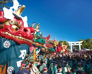 九州・山口・沖縄の38の祭りが熊本に初集結！「祭りアイランド九州」開催