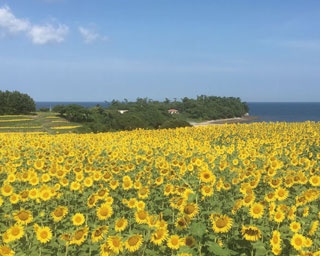 九州・山口のイベントを厳選！夏のおでかけカレンダー＜8月後半編＞