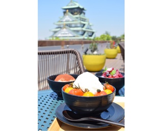 ふわふわかき氷や冷たいトマト麺などひんやりメニューも！  大阪城公園で夏休みキャンペーン