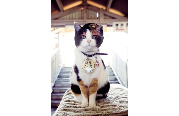  “たま駅舎”併設の新登場カフェで旬のイチゴスイーツを楽しもう