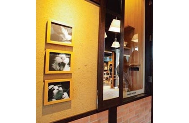 新設されたギャラリーでたま駅長の写真をたっぷり見物することができる！