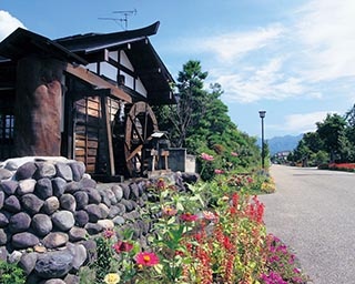 たくさんの花と緑がみなかみ町を彩る「花と緑のぐんまづくり2019 in みなかみ」開催