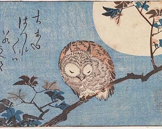 鳥の新たな魅力を発見　広島県の海の見える杜美術館で「美術の森でバードウォッチング」開催中
