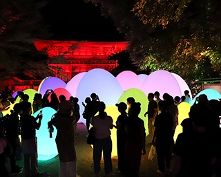 京都・下鴨神社で「チームラボ」のアート展「糺の森の光の祭」　世界遺産の森が幻想的な空間に