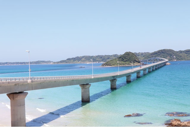 美しい海と橋の風景が人気の定番ドライブスポット / 角島大橋