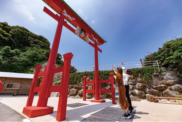 高さ6mの大鳥居の上部に賽銭箱が。 / 元乃隅神社