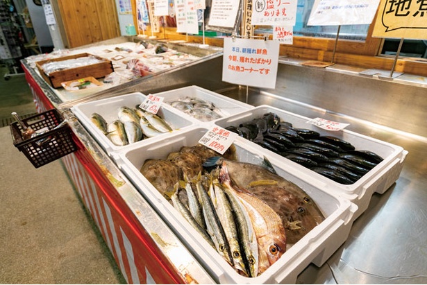 新鮮な魚介や野菜がそろう / 道の駅 松浦 海のふるさと館