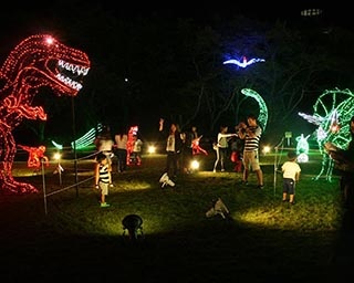 夜の植物公園を楽しむ「花と光のページェント」が広島市植物公園で開催