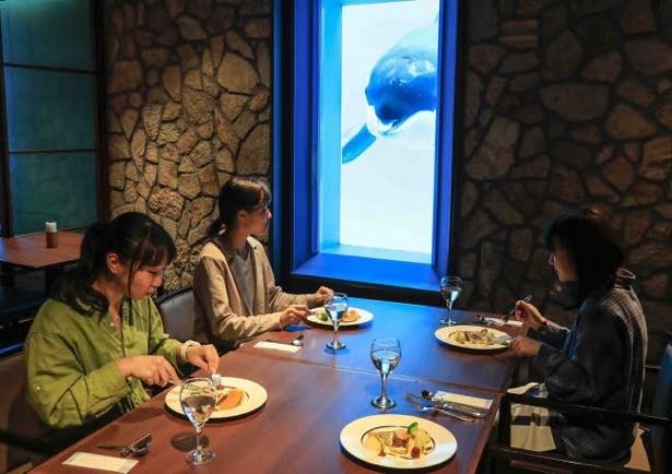 鴨川シーワールドでは特定日に水族館女子会を開催している