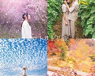 詩情豊かな四季を感じられる「イロトリドリ展」が香川県高松市で開催中