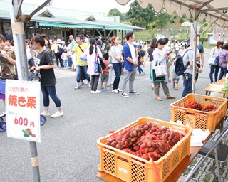 栗の祭典「第11回あんずの丘マロンフェスタ」が熊本県山鹿市で開催