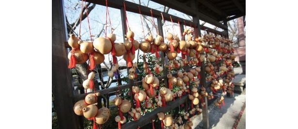 ひょうたんがズラリと並ぶサマは圧巻！「墨俣(すのまた)一夜城」(岐阜・大垣)