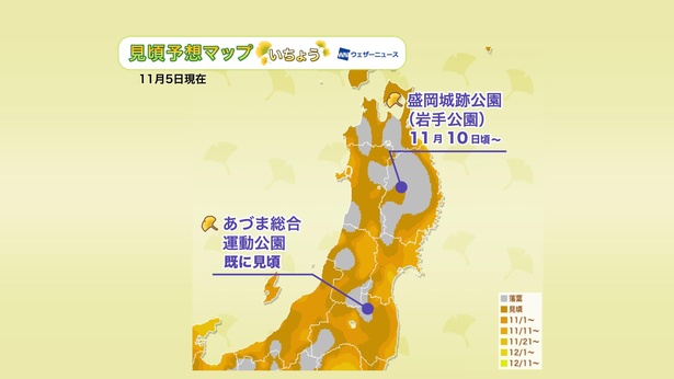 2020年 東北地方の紅葉(イチョウ)見頃予想マップ(11月5日現在)