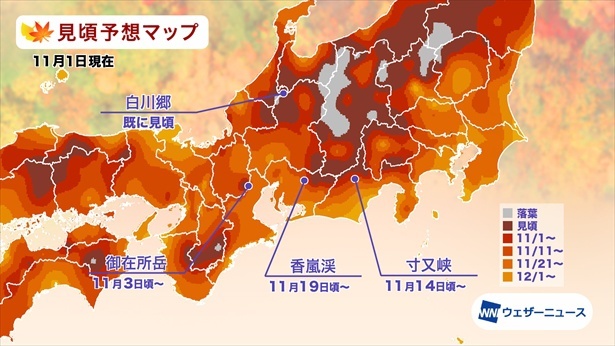東海の紅葉(モミジ)見頃予想マップ(情報は2023年11月1日発表 ウェザーニューズ)