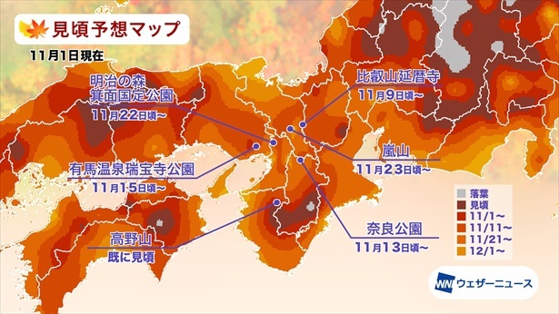 近畿の紅葉(モミジ)見頃予想マップ(情報は2023年11月1日発表 ウェザーニューズ)