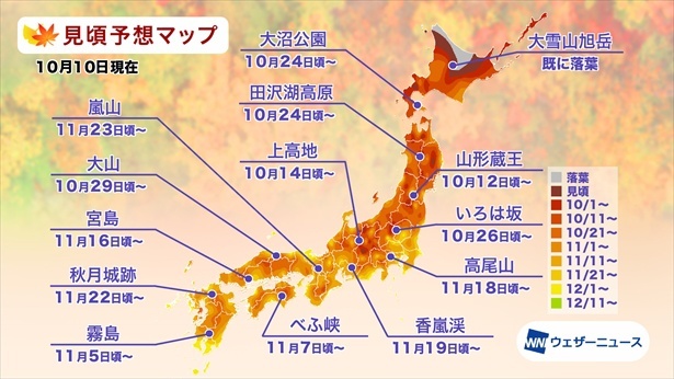 全国の紅葉(モミジ)見頃予想マップ(情報は2024年10月10日発表 ウェザーニューズ)