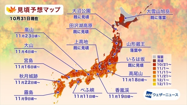 全国の紅葉(モミジ)見頃予想マップ(情報は2024年10月31日発表 ウェザーニューズ)