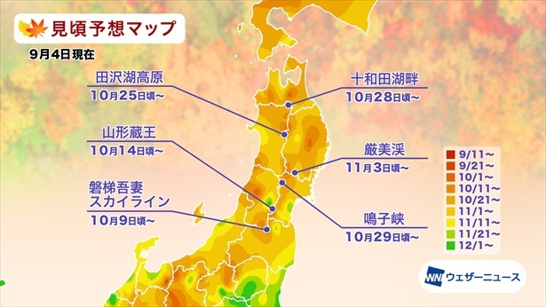 東北の紅葉(モミジ)見頃予想マップ(情報は2025年9月4日発表 ウェザーニューズ)