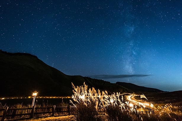 黄金色のススキを照らす優しい灯り 奈良県の曽爾高原で 曽爾高原山灯り 開催中 ウォーカープラス