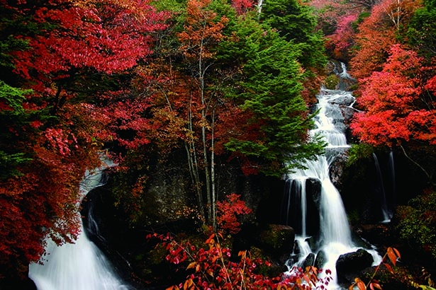 流れ落ちる名瀑と紅葉の情景が見事